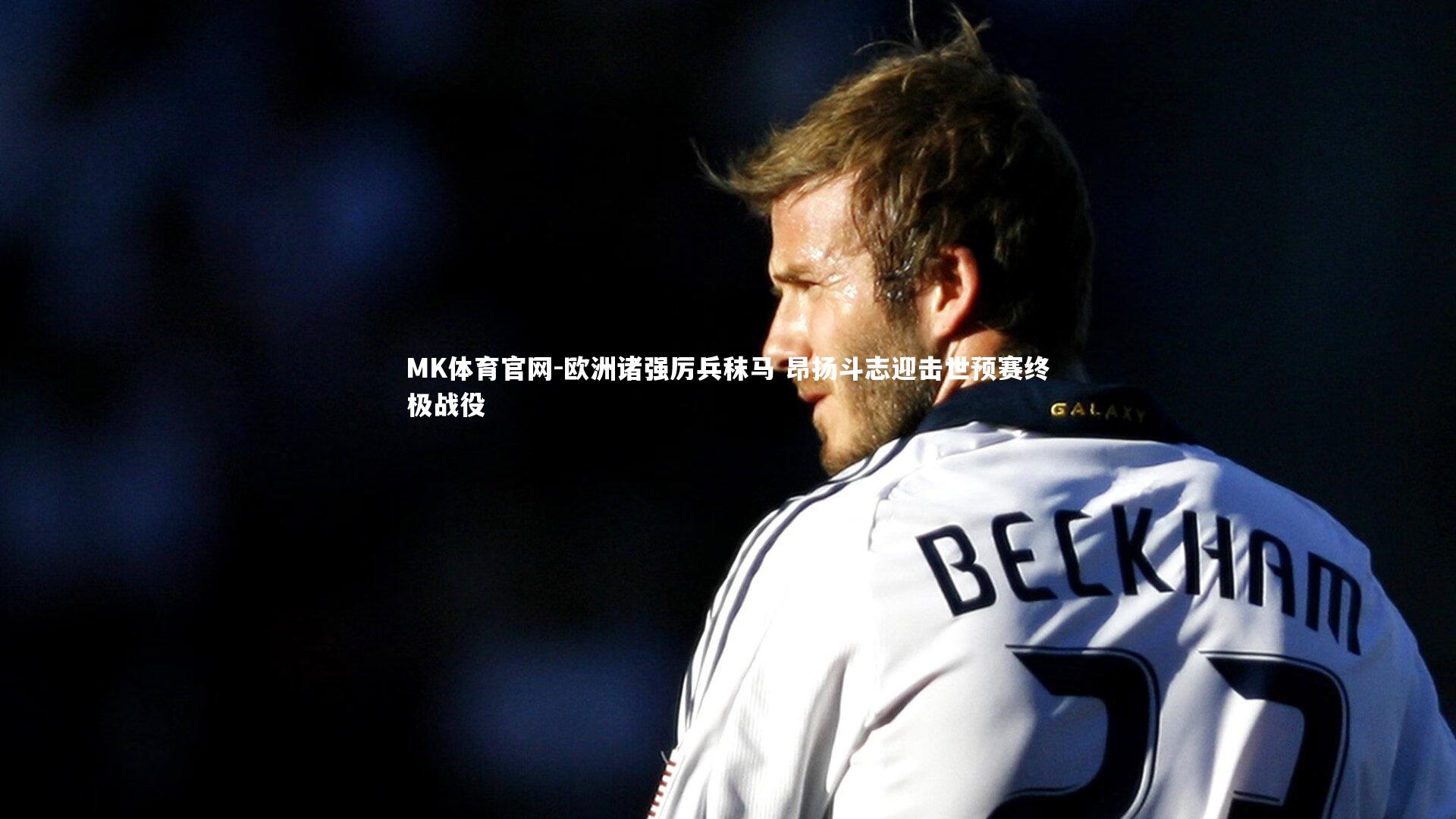 欧洲诸强厉兵秣马 昂扬斗志迎击世预赛终极战役